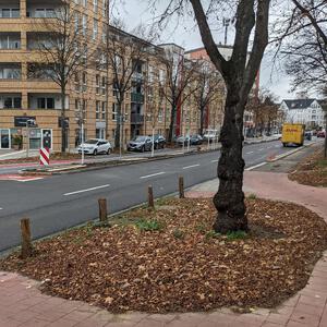 Umgestaltung Sievekingdamm