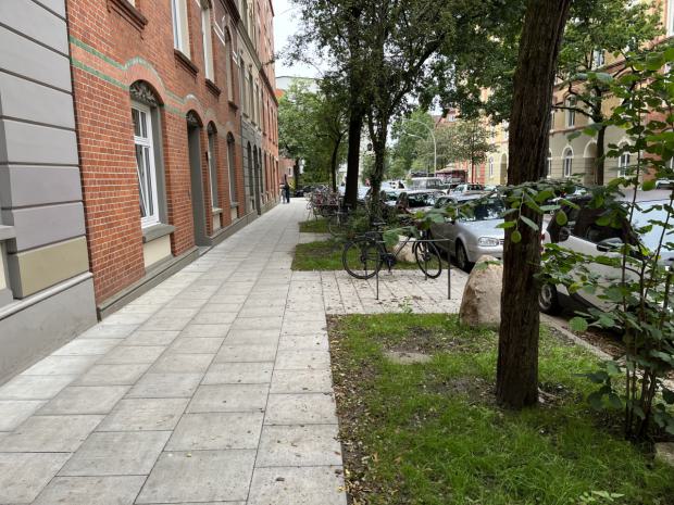 Gelungene Integration der vorhanden Straßenbäume mit zusätzlichen Fahrradbügeln