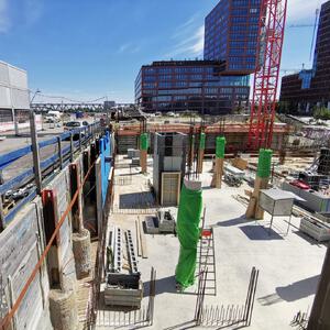 Roots - HafenCity Hamburg