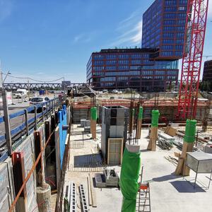 Roots - HafenCity Hamburg