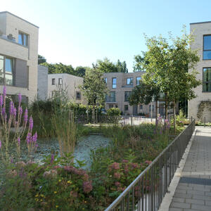 Neubau Wohnanlage Trenknerhöfe